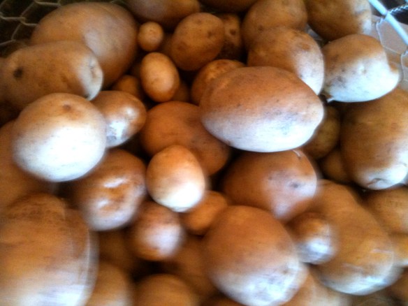 potatoes au gratin recipe melissa d'arabian