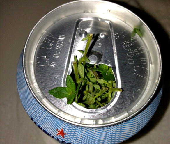 wine can chicken in oven