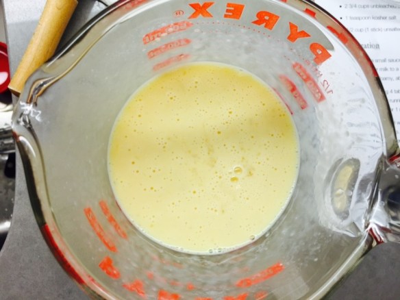 Rise #1 - foam forms 